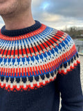 Celeste sweater til mænd, PetiteKnit | 252 Navy, 40127 mustard, 7839 volga, 3650 lys, 3622 kosi